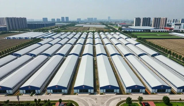 数字化转型中选型的核心关注点与实践路径